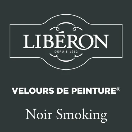 Peinture murale Libéron Velours de Peinture Noir Smoking mat velouté 500ml 2