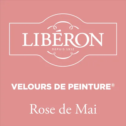 Peinture murale Libéron Velours de Peinture grès rose velouté mat 500ml 4