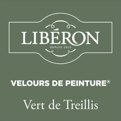Libéron muurverf Velours de Peinture 'vert herbarium' mat fluweel 500ml 4