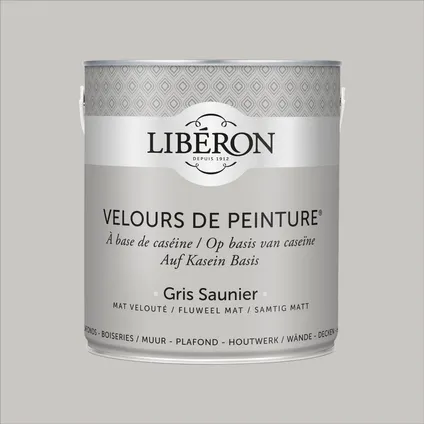 Libéron muurverf Velours de Peinture Gris Saunier fluweel mat 2,5L 5