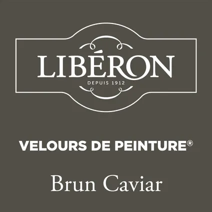Peinture murale Libéron Velours de Peinture Brun Caviar mat velouté 2,5L 2