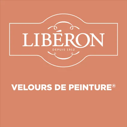 Peinture murale Libéron Velours de Peinture terre cuite d'Anjou mat 2,5L 4
