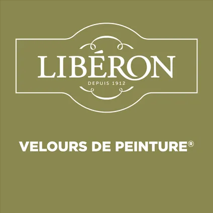 Libéron muurverf Velours de Peinture 'céladon' mat fluweel 2,5L 4