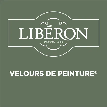 Libéron muurverf Velours de Peinture 'vert herbarium' mat fluweel 2,5L 4