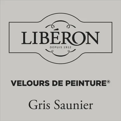Libéron muurverf Velours de Peinture Gris Saunier fluweel mat 125ml 2