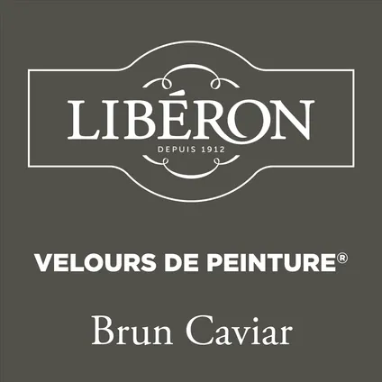 Peinture murale Libéron Velours de Peinture Brun Caviar mat velouté 125ml 2
