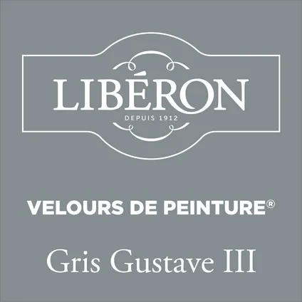 Libéron muurverf Velours de Peinture Gris Gustave III fluweel mat 125ml 2