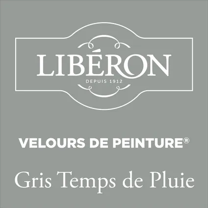 Libéron muurverf Velours de Peinture Gris Temps De Pluie fluweel mat 125ml 2