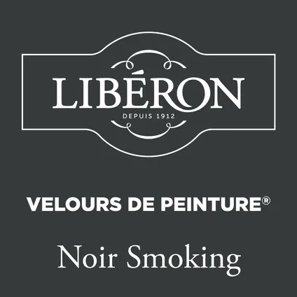 Libéron muurverf Velours de Peinture Noir Smoking fluweel mat 125ml 2