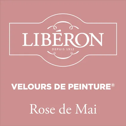 Libéron muurverf Velours de Peinture Rose de mai fluweel mat 125ml 2