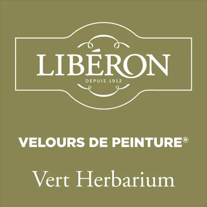 Libéron muurverf Velours de Peinture Vert Herbarium fluweel mat 125ml 2