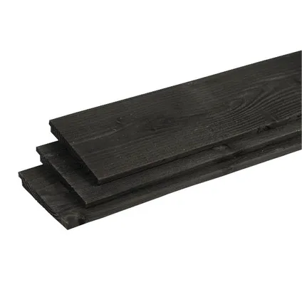 Schuttingplank zwart 10/2,4x20x300cm 2