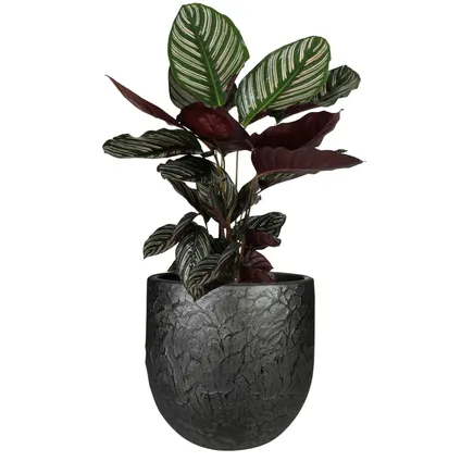Steege Plantenpot - antiek look - keramiek - zwart - D28 x H25 cm 2