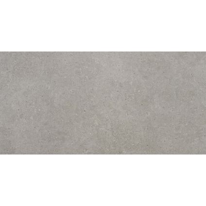 Wand- en vloertegel Ulisse - Keramiek - Grijs - 60x120cm - Pakketinhoud 1,428m²