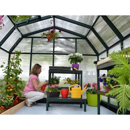 Serre de jardin Palram-Canopia Hobby Gardener vert 266x266x208cm 7,1m² 4