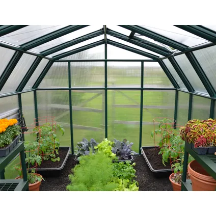 Serre de jardin Palram-Canopia Hobby Gardener vert 266x266x208cm 7,1m² 6