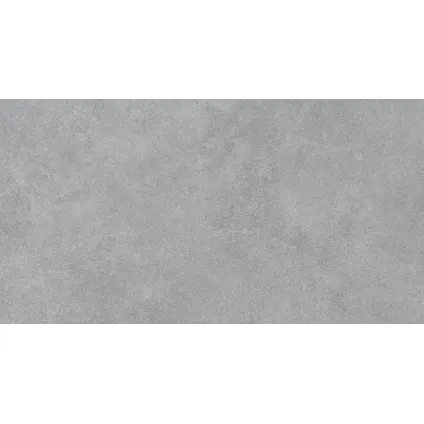 Wand- en vloertegel Nostrum - Keramiek - Grijs - 30x60cm - Pakket inhoud 1,260m²