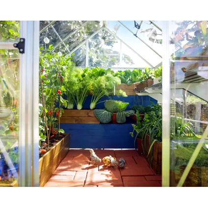 Palram | Canopia - Serre de jardin Harmony - Transparent - Vert - 370x185x208cm 5