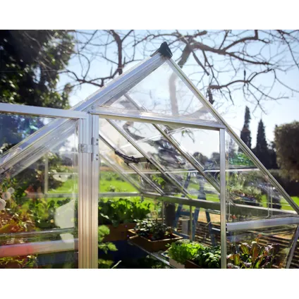 Palram | Canopia - Serre de jardin Harmony - Transparent - Vert - 370x185x208cm 8