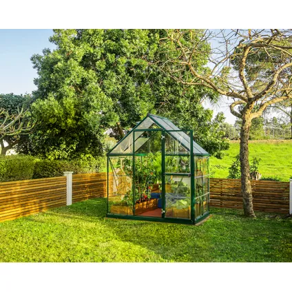 Palram | Canopia - Serre de jardin Hybrid - Vert - 126x185x208cm 2