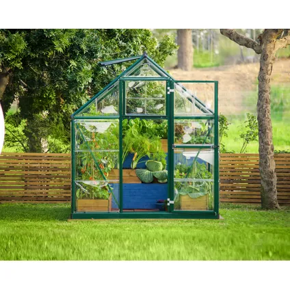 Palram | Canopia - Serre de jardin Hybrid - Vert - 126x185x208cm 7