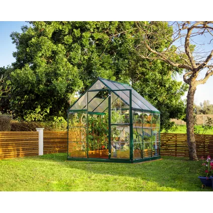 Palram | Canopia - Serre de jardin Hybrid - Vert - 186x185x208cm 2