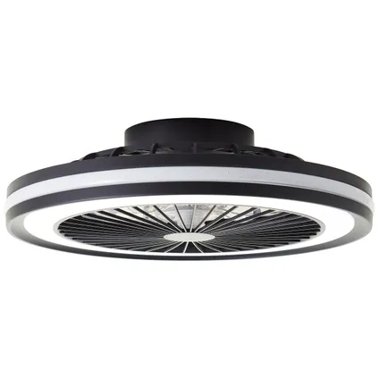 Plafonnier ventilateur Brilliant Palmero noir LED RGB 40W 13