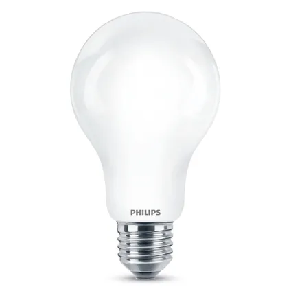 Philips ledlamp E27 13W 2