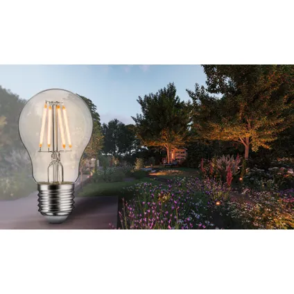 Paulmann ledfilamentlamp insectvriendelijk E27 4,3W 2