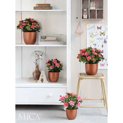 Plante artificielle Mica Decorations Azalea - 20x20x27 cm - Rose 3