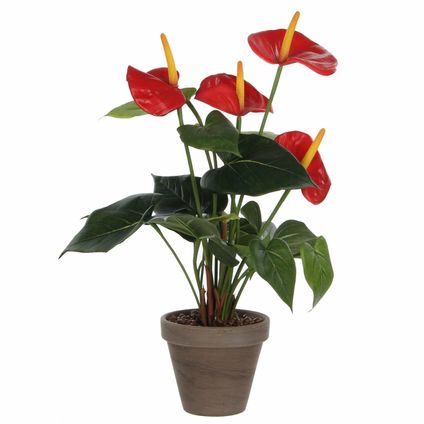 Mica Decorations Kunstplant Anthurium - rood - in grijze pot - 40 cm