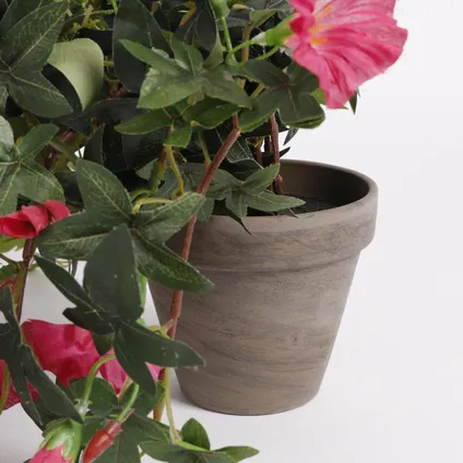 Plante artificielle Mica Decorations Petunia - 50x45x25 cm - Rose 3