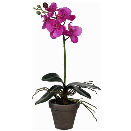 Mica Decorations Kunstplant - Phalaenopsis orchidee - paars - 48 cm