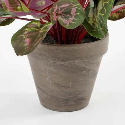 Mica Decorations Kunstplant - cyclaam - in pot - roze - 30 cm 4