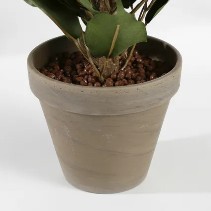 Mica Decorations Kunstplant - ficus - groen - in pot - 65 cm 3