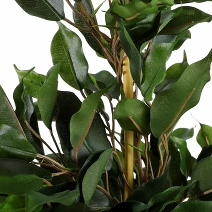 Mica Decorations Kunstplant - ficus - groen - in pot - 65 cm 4