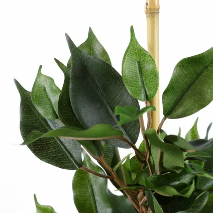 Mica Decorations Kunstplant - ficus - groen - in pot - 65 cm 5