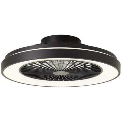 Ventilateur de plafond Brilliant noir ⌀48,5cm CCT RGB 40W 3