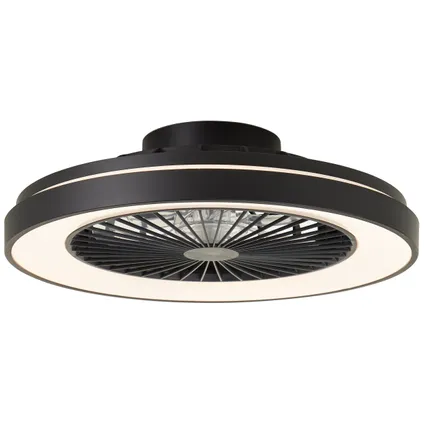 Ventilateur de plafond Brilliant noir ⌀48,5cm CCT RGB 40W 4