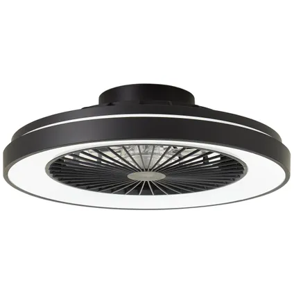 Ventilateur de plafond Brilliant noir ⌀48,5cm CCT RGB 40W 5