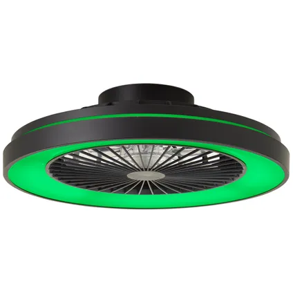 Ventilateur de plafond Brilliant noir ⌀48,5cm CCT RGB 40W 8