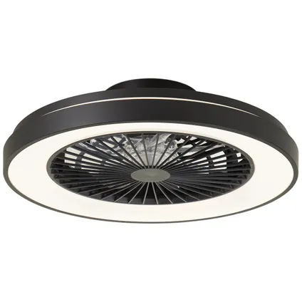 Ventilateur de plafond Brilliant noir ⌀48,5cm CCT RGB 40W 16