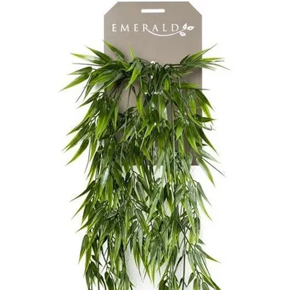 Kunstplant Bamboe - hangend - tak - groen - 75 cm 2