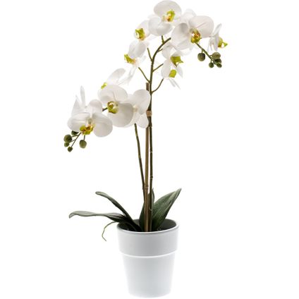 Kunstplant orchidee - Orchidaceae - wit - in witte pot - 65 cm