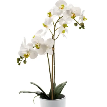 Kunstplant orchidee - Orchidaceae - wit - in witte pot - 65 cm 2