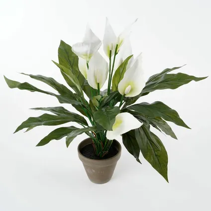 Mica Decorations Kunstplant - spathiphyllum lepelplant - wit - 50 cm 6
