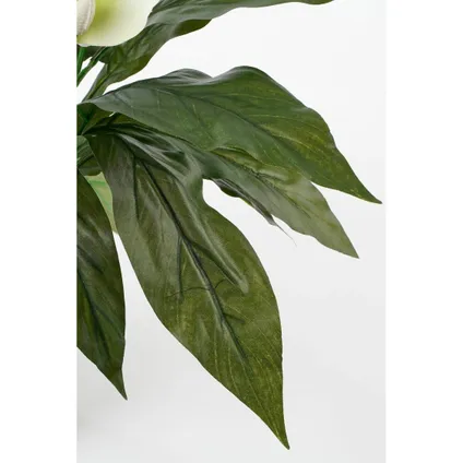 Mica Decorations Kunstplant - spathiphyllum lepelplant - wit - 50 cm 7