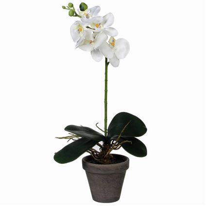 Mica Decorations Kunstplant - phalaenopsis orchidee - wit - 48 cm
