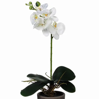 Mica Decorations Kunstplant - phalaenopsis orchidee - wit - 48 cm 3