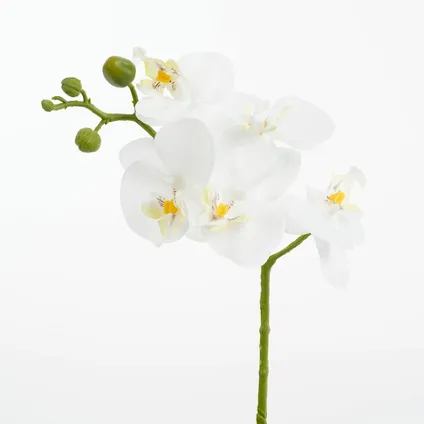 Mica Decorations Kunstplant - phalaenopsis orchidee - wit - 48 cm 4